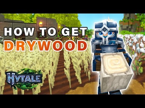 How to get Drywood Logs / Dry or Bottletree ► Hytale