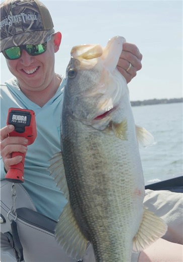 Catching Giant Bass at the Home Pond