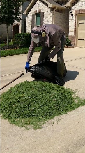 Yard Waste Cleanup ▶6