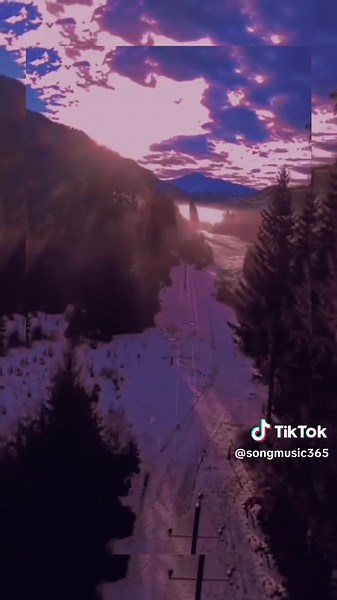 Song Lyrics sur TikTok