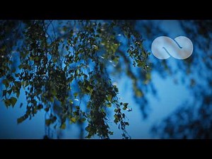 Mylah: 12 Hours of Sleep Piano Music ★︎ Fade to Black Screen | Ocb Relax