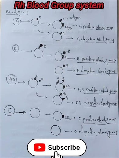 Rh Blood Group system #bloodtestresults #shorts #short #shortvideo #bloodtest