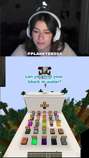 The secret to winning minecraft guess who every time #minecraft #gaming