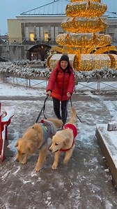 Last year we took the boys to see our town Christmas tree and decorations .. we haven't been this year yet because we haven't had enough snow and it looks prettier in the snow ❄️ | Sterling Newton