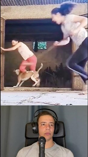 Random Animal Surprising Humans - Vía toppet world