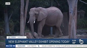 Elephant Valley exhibit opens Thursday at San Diego Zoo Safari Park