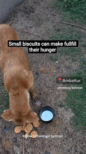 #humanity #help ##viral #trendingshorts