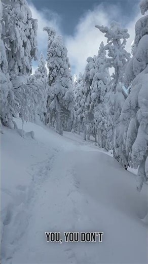 The SHOCKING Truth About Failure Nobody Tells You This Changed Everything