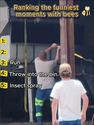 Ranking the funniest moments with bees
