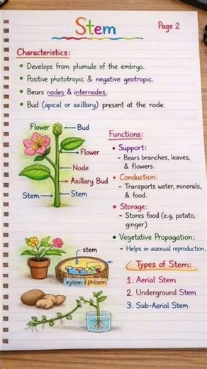 Biology One Shot Marathon | Complete Plant Morphology | Leaf, Stem, Flower, Fruit & Seeds | Class 10