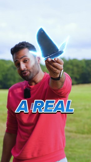 Controlling a Bionic Bird with a Phone: Mimicking Real Bird Movements