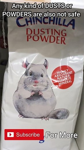 Safe & unsafe sands for gerbils #Shorts