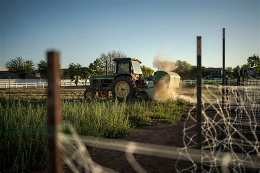 Local Farmer Awards offering grants for western Mass. farmers