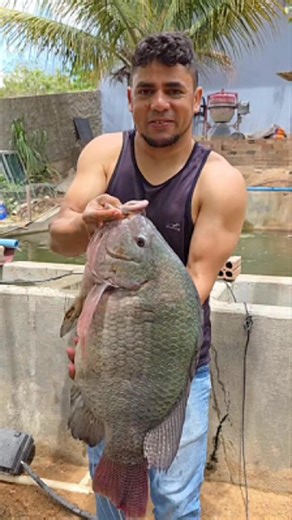 Why Do They Bury This Fish?