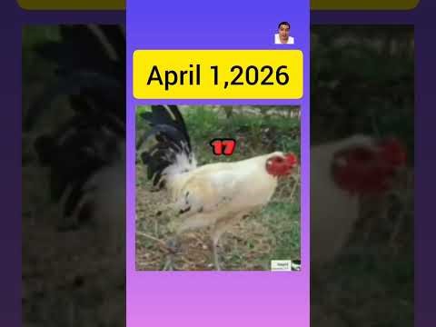 April 1,2026 Color Coding Guidelines