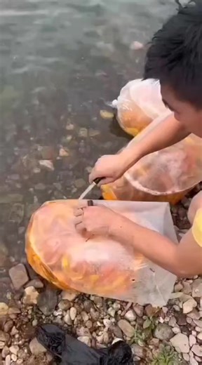 5.5K views · 236 reactions | https://affrim.revenuereview.in/ Check...