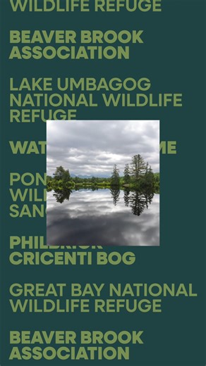 Need a new trail? Pick a new path with these six hidden nature hikes. 🥾🌲 Comment your favorite 👀 | VisitNH - New Hampshire