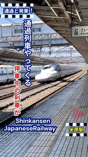 👉 見入っていたら、こだま号が動き出していた！【米原駅】#JR東海#JR西日本