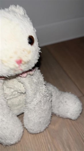 Bunny Chaos: A Funny Dancing Plushie Adventure