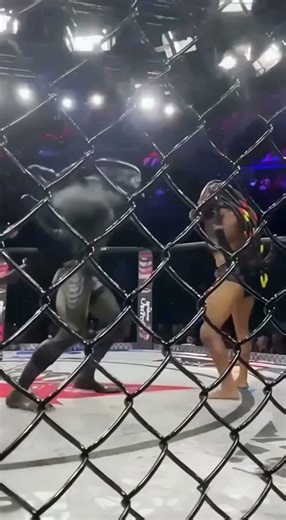 MMA War: Predator Faces Alien in a Savage UFC-Style Fight