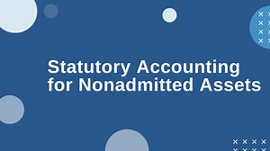 Statutory Accounting for Nonadmitted Assets | Johnson Lambert