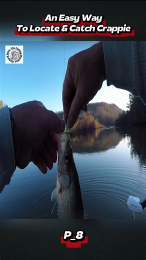 An Easy Way To Locate & Catch Crappie #Crappie CrappieFishing #FishingCrappie #FishingTips #FishingLife
