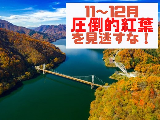 11月中旬～12月が見頃の紅葉名所25選　今年最後の紅葉をお見逃しなく！ - まっぷるウェブ