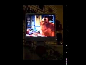 Bear In The Big Blue House Picture Of Health - MertaCeyon