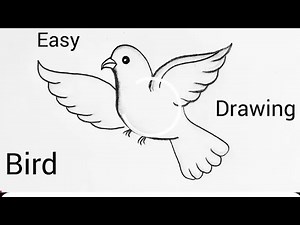 Easy Bird Drawing Step By Step | Bird Drawing | How To Draw A Bird Drawing
