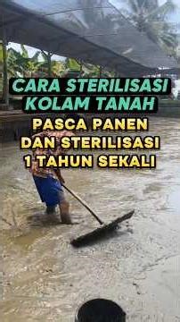 How to STERILIZE a POST-HARVEST earthen pond and sterilize once a year