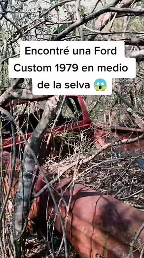Ford Custom 1979: Hallazgo Inesperado en la Selva