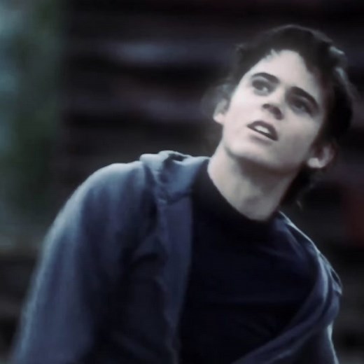 Ponyboy Curtis: The Outsiders Fan