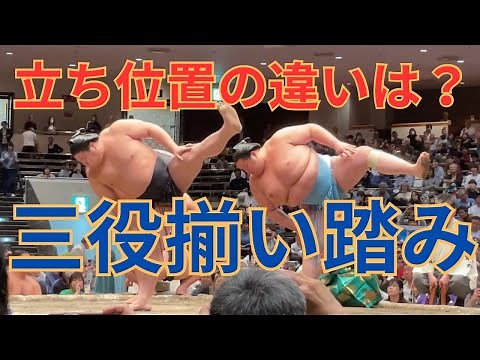 【1分解説】立ち位置は？東西どちらが先に上がる？三役揃い踏みを解説