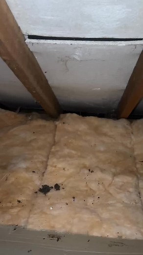 Most people do not realise that using polystyrene insulation in a...