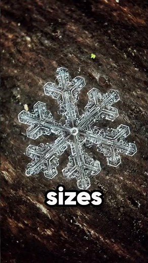 What Snowflakes Look Like Up Close ❄️ (@mashafotoblog)