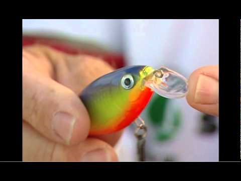 Rapala® X-Rap® Shad Shallow