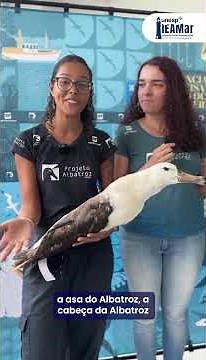 O trabalho do Projeto Albatroz na preservação das aves marinhas