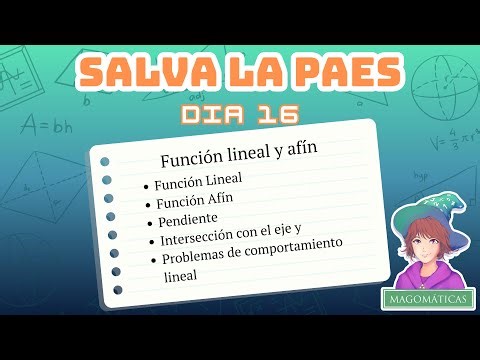 Save the PAES - Linear and Affine Function - Day 16