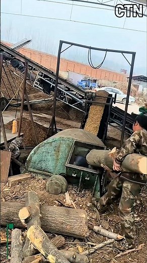 Industrial Wood Processing – How Heavy-Duty Log Shredders Increase Productivity