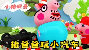 小猪佩奇：猪爸爸天生爱玩，看到小汽车就想玩，结果又摔倒了！
