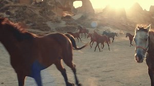 Wild horses galloping through dusty desert in Cappadocia .