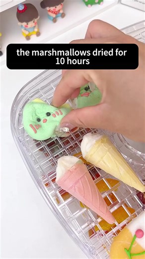 Taste Testing Delicious Dried Snacks