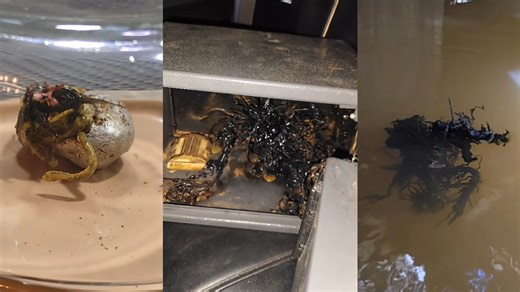 Panama Alien / Venomkin | Know Your Meme