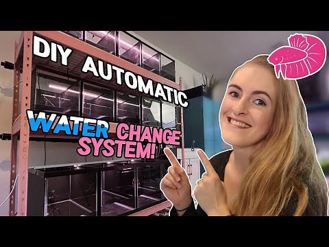 DIY Automatic Water Change System for my Betta Fish Projects - Plumbing Walkthrough!