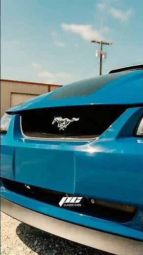 2003 Ford Mustang Mach 1 Test Drive 4.6 - 5 Speed - 2K Miles