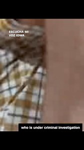 Video shows ICE agents arresting a grocery store worker who was wanted for fraud | Marcos Brito