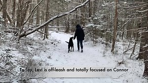 Is your dog scared of kids, people or other dogs? Are you tired of worrying about what your fearful dog may do? Is your dog fine one moment then explodes barking and lunging the next? The Fearful Dog *Online* Mini Series will help you and your dog move out of fear and back to living your best life! Don’t wait another moment. Break the fear cycle. Build the trust. Don't let your dog's fear get them into trouble. Get help today. Grab your copy of The Fearful Dog Online Program today! https://beyon
