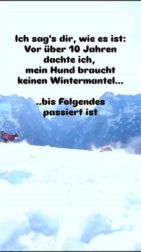 Hundefreundliche Wanderungen & Hundeschule in den Dolomiten on Instagram: "Lange war ich der Meinung, dass meine Hunde keinen Wintermantel brauchen. Wir leben zwar in einer Gegend, in der es im Winter kalt wird – aber nicht arktisch. Ich dachte immer: „Sie haben Winterfell, sie gewöhnen sich dran, das reicht.“ Bis vor zwei Jahren. Wir waren auf einer Winterwanderung, es war bitterkalt – eisiger Wind. Am Gipfel wollten wir eine kurze Pause machen, Tee trinken, die Aussicht genießen. Und dann saß 