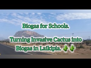 Biogas for Schools in Kenya: Cooking with Cactus 🌵 🔥 | Clean Energy Innovation by Flexi Biogas