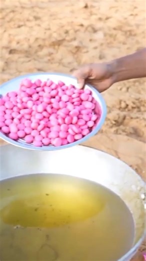 Interesting Facts | Daily Facts | Mind Blowing on Instagram: "Center Fruit experiment Malayalam🤔 Malayalam Keywords (Transliterated & Script): * Center Fruit experiment Malayalam * ചിaugum (Chewing gum) experiment * എണ്ണയിൽ സെന്റർ ഫ്രൂട്ട് ഇട്ടാൽ എന്ത് സംഭവിക്കും? (What happens if you put Center Fruit in oil?) * മലയാളം എക്സ്പെരിമെന്റ് (Malayalam Experiment) * Center Fruit experiment in oil * Boiling bubblegum experiment * What happens if you fry Center Fruit? * Malayalam science experiments 202